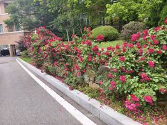 -棒棰岛宾馆景区