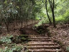 -青城山