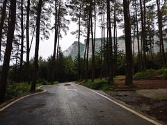 -重庆睡佛山森林公园