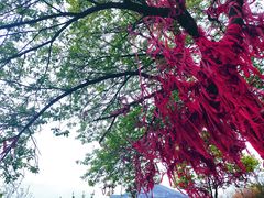 -黄花溪
