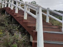 -五龙城郊森林公园