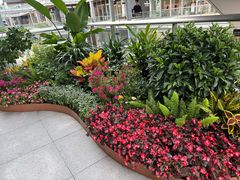 -首创奥特莱斯(北京店)