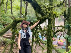 -洛阳白云山景区