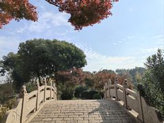 -圩墩遗址公园