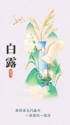 -雅曼妮spa美容养生