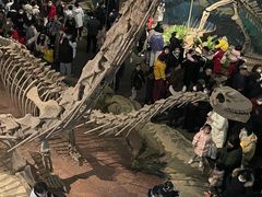 -自贡恐龙博物馆