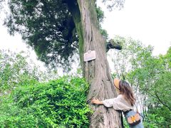 -金堂县云顶石城风景区