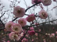 -塔川景区
