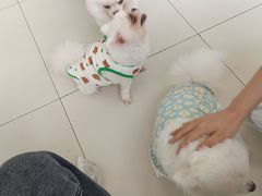 -怪兽屋·羊驼·猫咖·狗咖(俊华广场店)