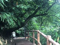 -碧峰峡风景区