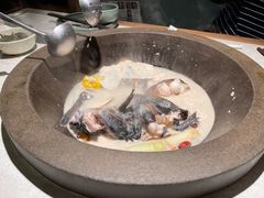 鮰鱼-鲜潭蒸汽石锅鱼(五道口购物中心店)