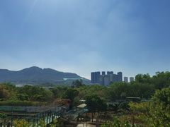 -深圳野生动物园