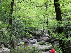-白云源风景区