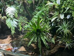 -太平洋海底世界