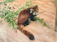 -无锡动物园·太湖欢乐园