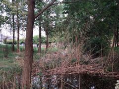 -祥源·阜阳生态乐园