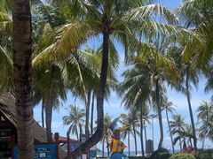 -海南分界洲岛旅游区