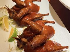 -觅唐MITONG(鸟巢店)