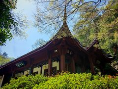 -十八棵（老龙井）御茶园(老龙井店)