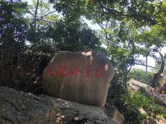 -紫金山山顶公园