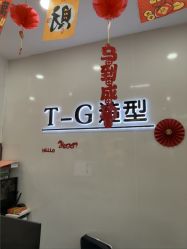 -爱秀造型 T-G