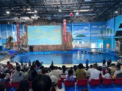 -华夏文旅海洋公园