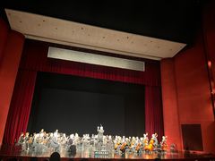 -合肥大剧院