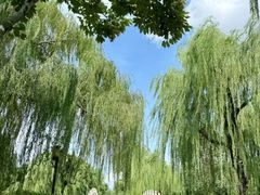 -济南大明湖景区