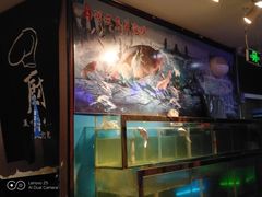 -阿三鱼头泡饼·家常菜