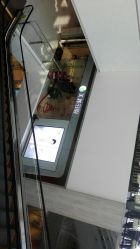 -美丽田园
