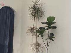 -山与蓝·轻糖鲜果蛋糕(勒泰店)