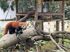 -杭州少年儿童公园