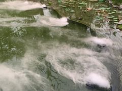 -扬州瘦西湖温泉