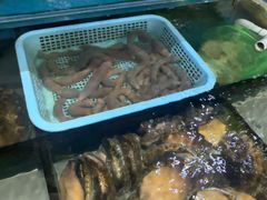 -小铜锣湾海鲜家常菜馆(河西店)