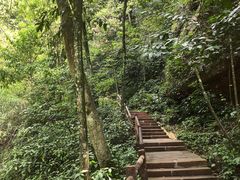 -赤水丹霞旅游区·佛光岩