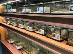 -帕帕拉兹宠物(亚洲旗舰店)