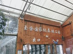 -玉舍国家森林公园