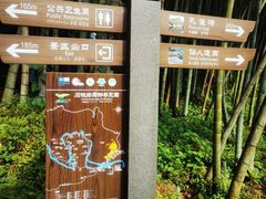-楠溪江石桅岩