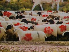 -万达影城IMAX(海口日月广场店)