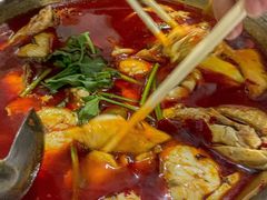 -重庆特色冷锅鱼(武大店)