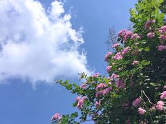 -山东师范大学(千佛山校区)