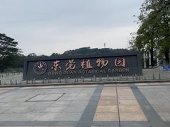 -东莞植物园
