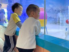 -海合安成都极地海洋公园