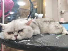 -喵汪宠物生活馆(涞坊路店)