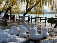 -明湖楼·经典鲁菜山东海鲜(大明湖店)