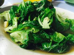 清炒菜旦-明记烧鱼美味店