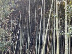 -南北湖风景区