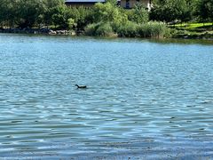 -马家湾湿地公园