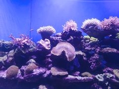 -北海海底世界