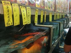 -鸿达渔港